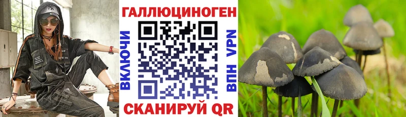 shop официальный сайт  купить наркотики сайты  Дербент  Галлюциногенные грибы ЛСД 