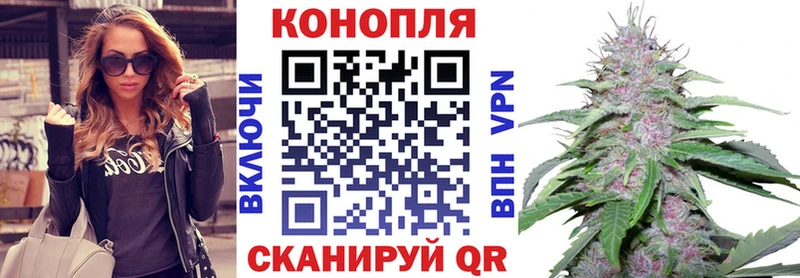 Канабис планчик  Дербент 